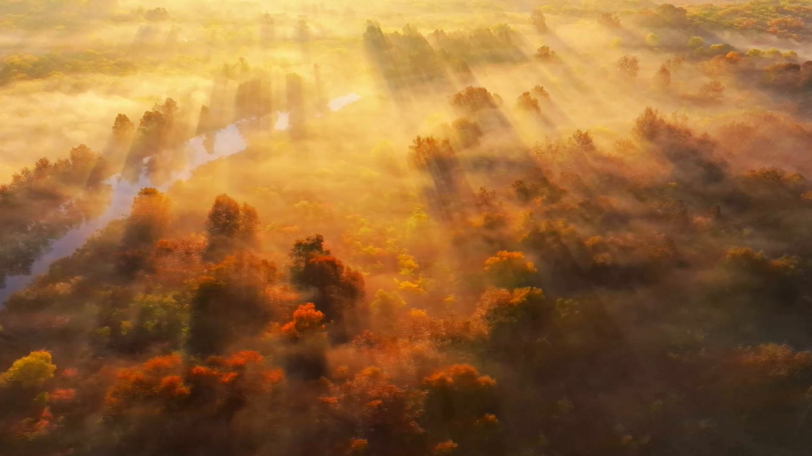 Autumn mist blankets Ergun Wetland in Inner Mongolia