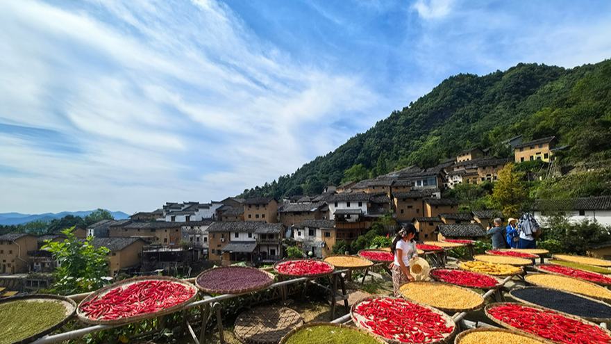 Drying autumn harvests becomes a tourist attraction in village in E China's Anhui