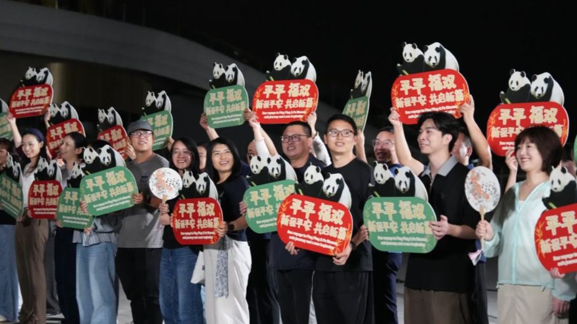 Two giant pandas set off from Chengdu for 10-year stay at Zoo Atlanta