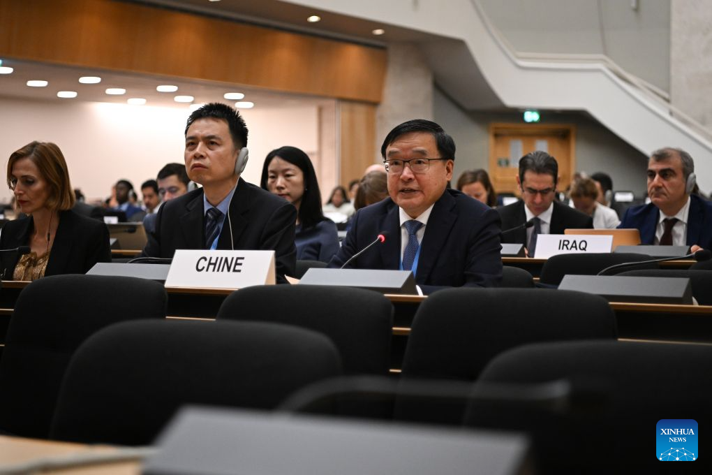 China calls for improving global human rights governance: envoy