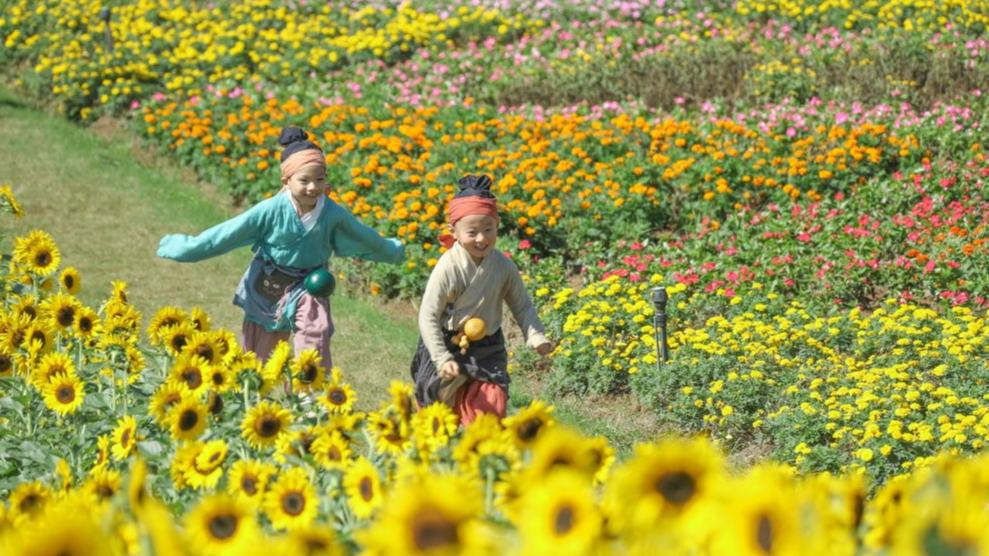 Rural tourism booms during China's National Day holiday
