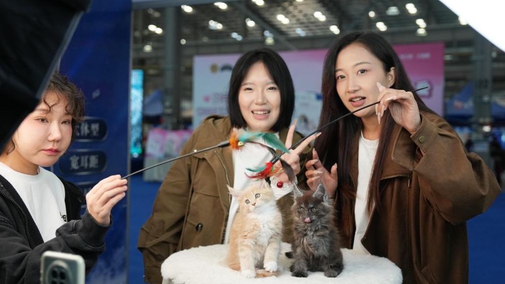 Pet Source Expo opens in Anshan, China's Liaoning