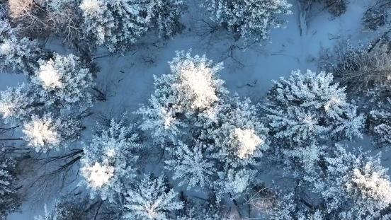 What is it like when it snows seven months a year?