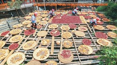 China's revitalized countryside gains attention abroad