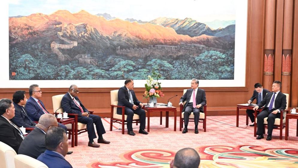 Chinese FM meets with delegation of leaders from Pacific Island countries