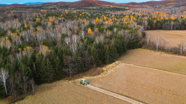 Farmers across China busy with autumn harvest, sowing