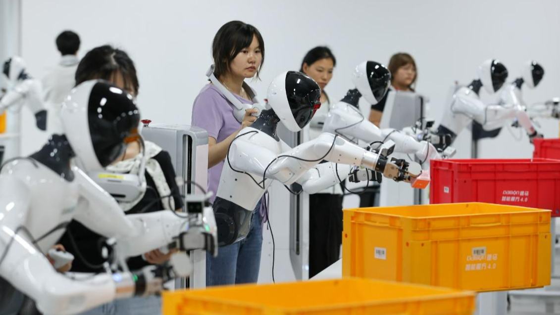 From functional to indispensable: How China's robots are evolving beyond basic utility