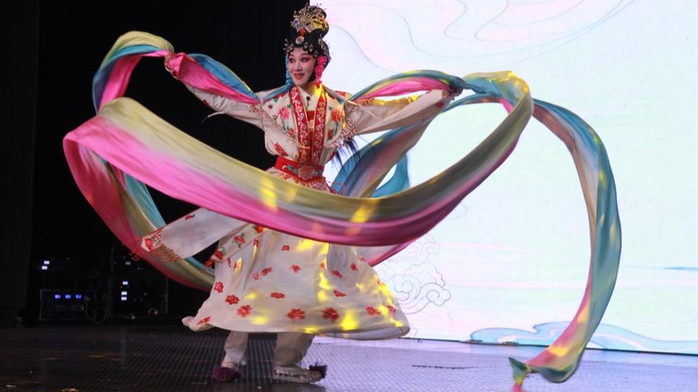 Feature: Chinese Wu Opera bridges cultures in Zimbabwe