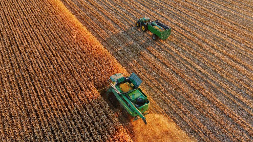 China's "grain barn" Heilongjiang harvests over half of crops