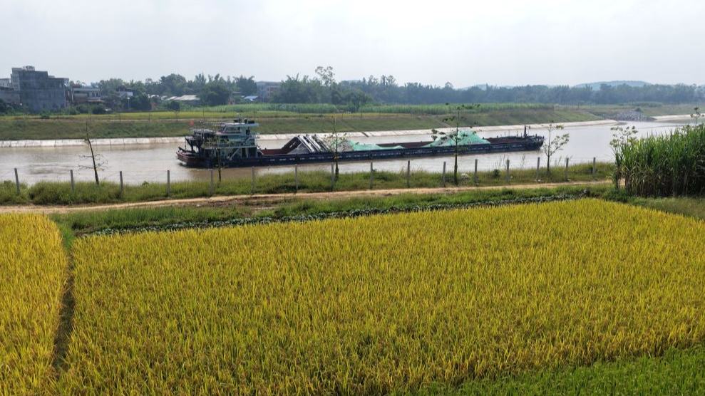 Autumn scenery of Pinglu Canal in Hengzhou City, south China's Guangxi