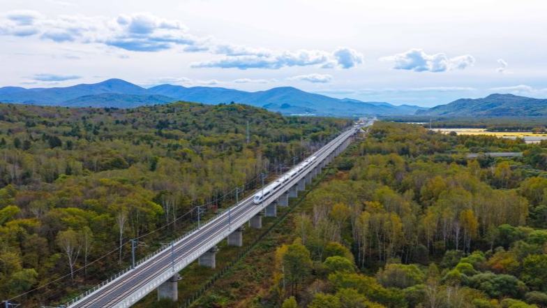 China's northernmost high-speed railway boosts coordinated regional development in Heilongjiang