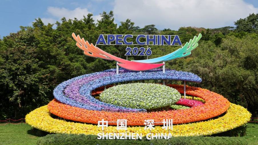 In pics: flower decoration themed on 2026 APEC "China Year" in Shenzhen
