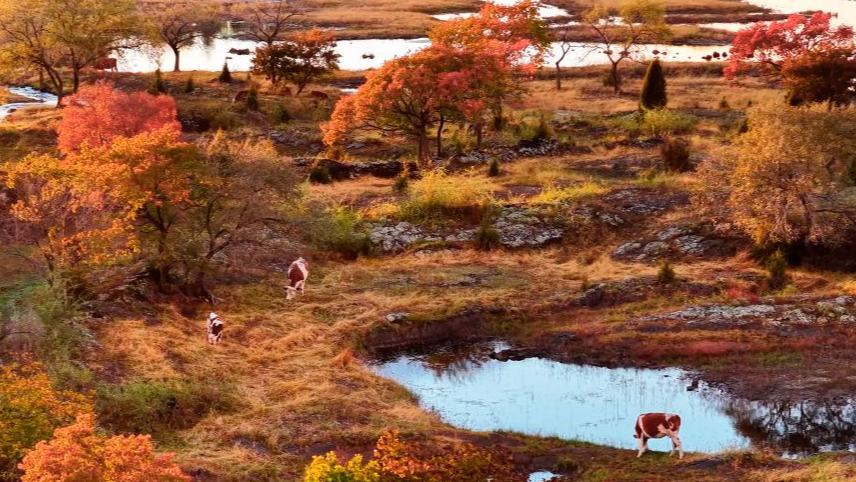 Autumn scenery in Mudanjiang, China's Heilongjiang