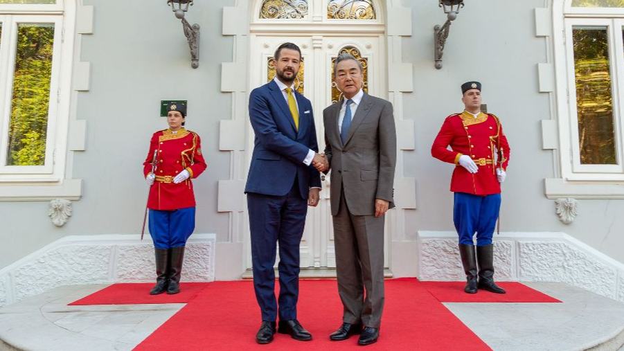 Montenegrin president meets Chinese FM