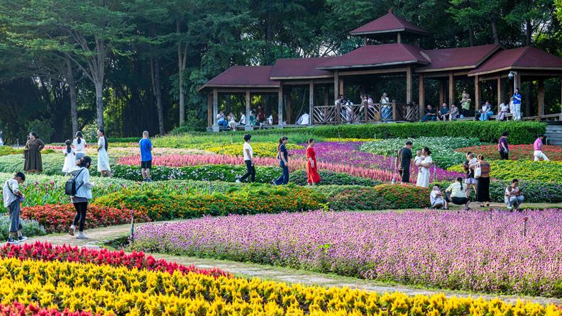 5,300-square-meter flower display draws crowds in Xiamen