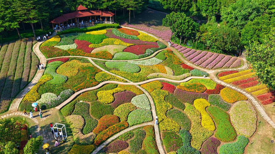5,300-square-meter flower display draws crowds in Xiamen