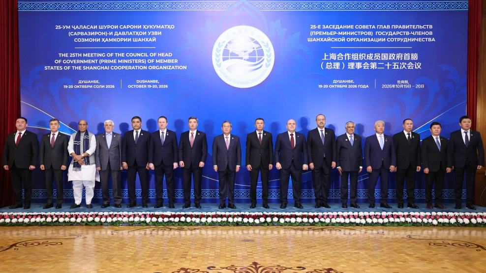 Chinese premier says SCO should promote regional stability, prosperity, contribute to global development
