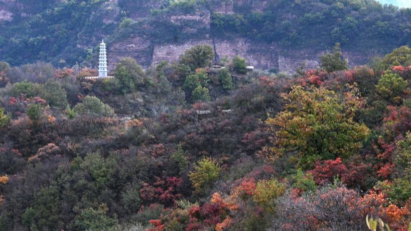 Autumn scenery in China's Hebei