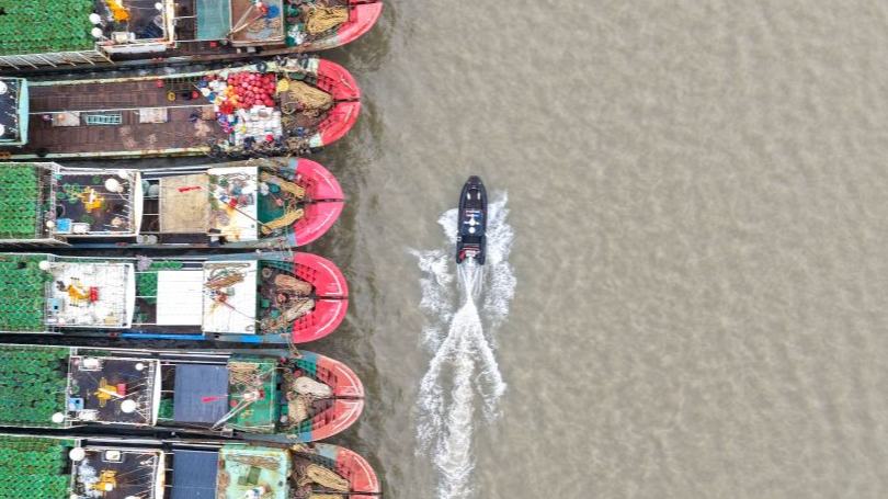 China issues Level IV emergency response as Typhoon Champi approaches