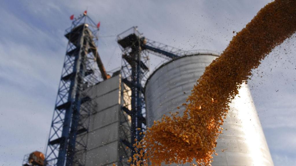 China's top grain-producing province steps up post-harvest management