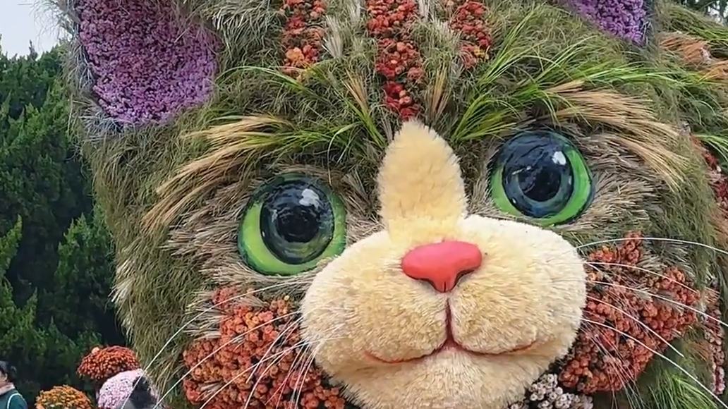 Giant plant cat featured at 47th Beijing Chrysanthemum Exhibition