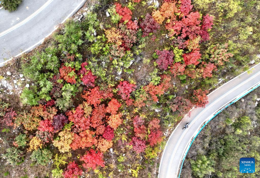 Autumn scenery across China - People's Daily Online