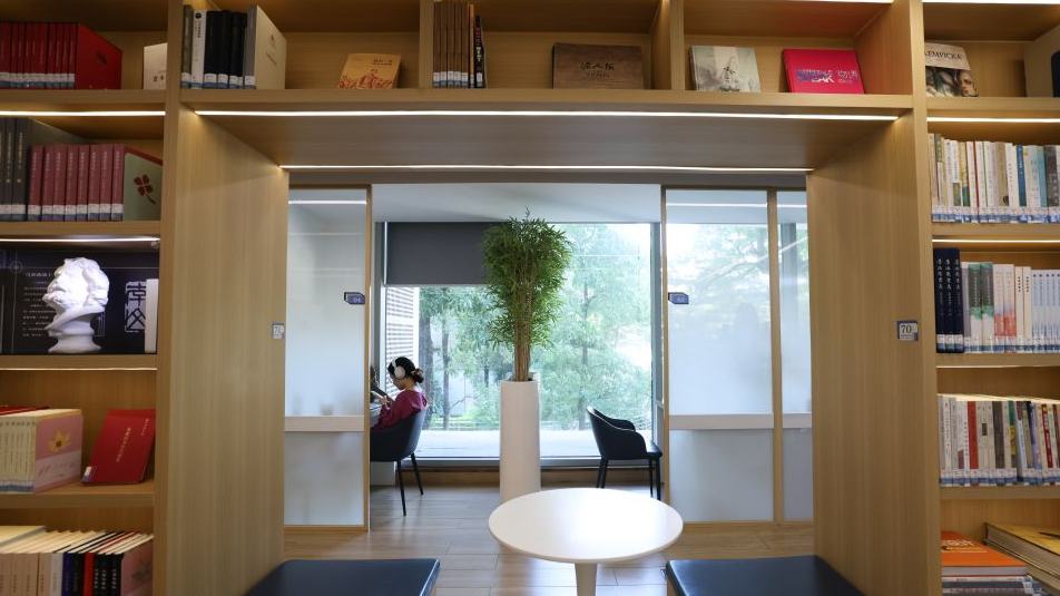 Public service centers bring convenience and warmth in Shenzhen