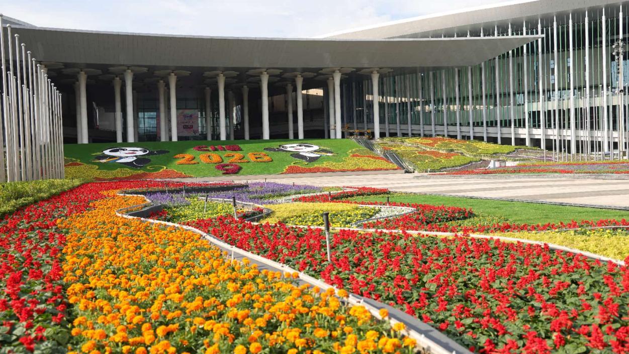 9th CIIE set to see record number of product debuts