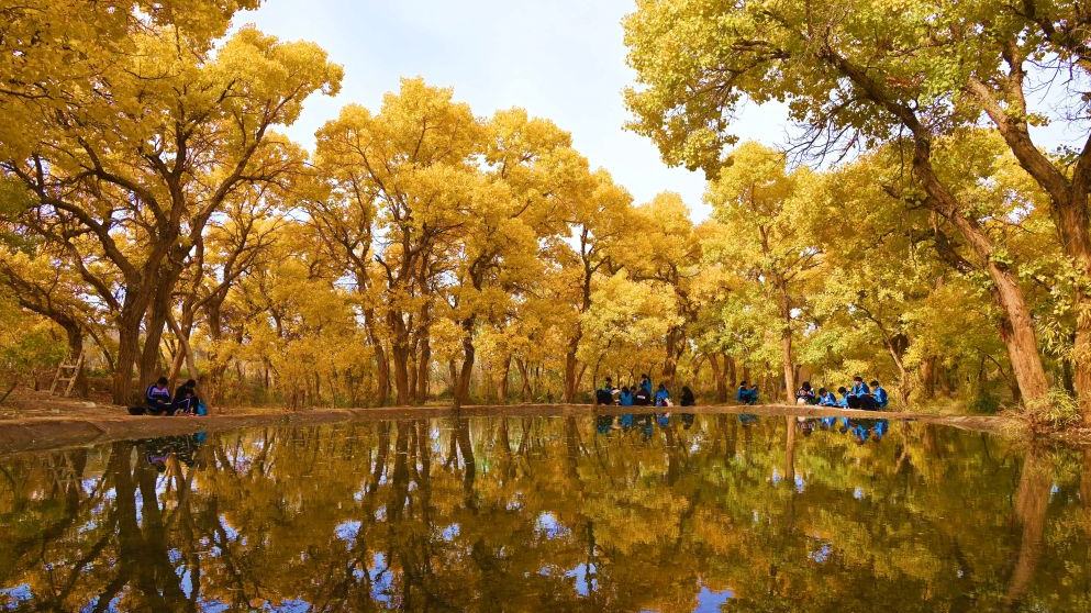 Autumn scenery across China