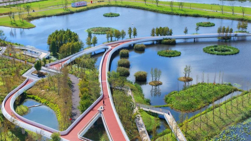 Rudong County in China's Jiangsu makes efforts to improve aquatic ecological environment