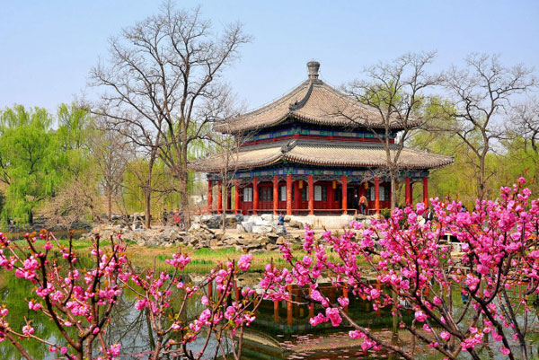 Spring at the Old Summer Palace 