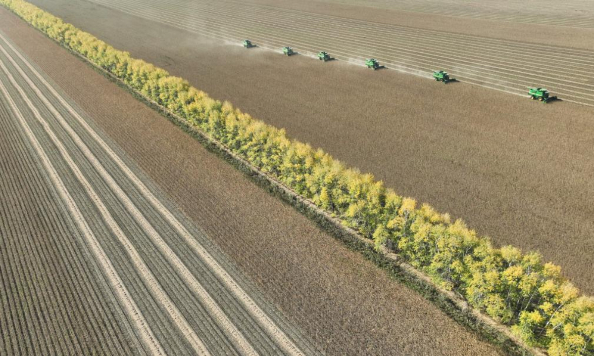 An aerial drone photo shows harvesters working at a soybean field of a farming company under Beidahuang Group in northeast China's Heilongjiang Province, Sept. 30, 2025. Heilongjiang Province, a major grain producer in northeast China, saw its 22nd bumper harvest with a record-breaking grain output reaching 82 million tonnes this year, data from the National Bureau of Statistics (NBS) showed on Friday. After surpassing 80 million tonnes in total grain production in 2024, Heilongjiang has once again topped the record this year, marking its 16th straight year as the top grain-producing region in China, according to the provincial agriculture and rural affairs department. (Photo by Lin Jinchun/Xinhua)