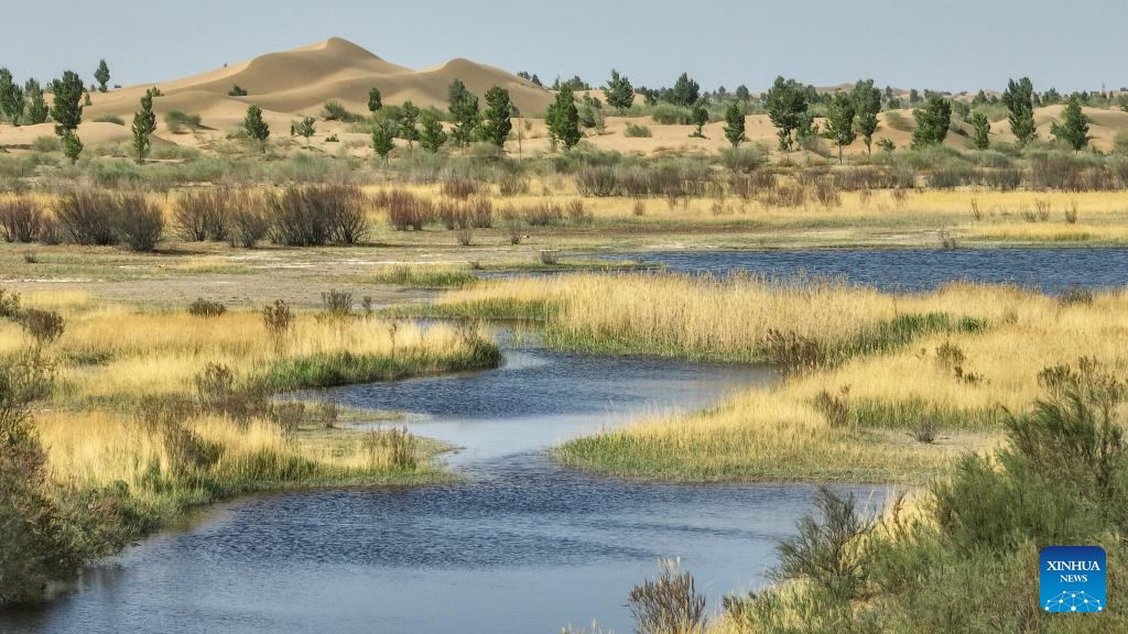 Scenery of Kubuqi Desert in N China's Inner Mongolia
