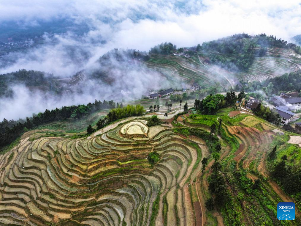 View of Ziquejie terraces in China's Hunan